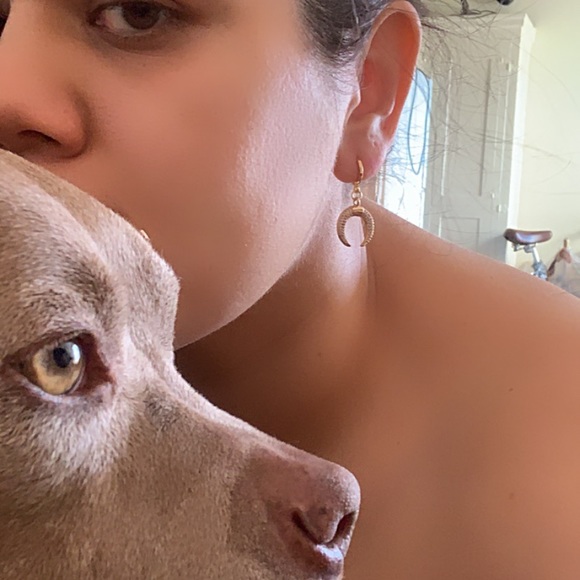 Dainty  New Moon Drop Earrings Huggie - Picture 7 of 7